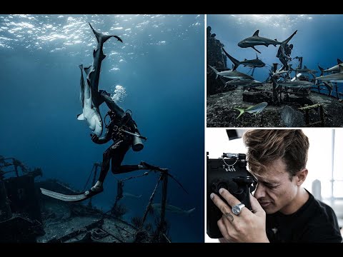 大胆なダイバーが全長7フィートのサメを1分間トランス状態に「催眠術」をかける