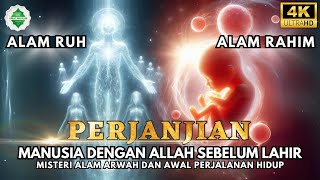 Download lagu Apa yang Terjadi di Alam Ruh Dan Alam Rahim? mp3 Download lagu Apa yang Terjadi di Alam Ruh Dan Alam Rahim? mp3