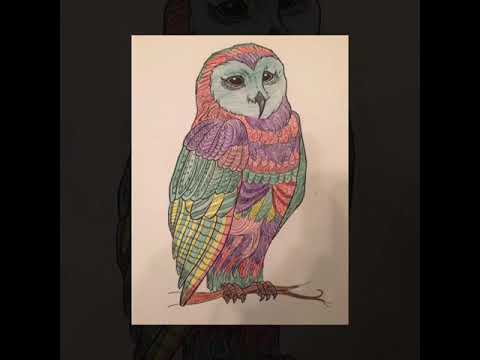 ANTI-STRESS Livre de Coloriage pour Adultes: D’Incroyables Animaux pour la Relaxation & Méditation