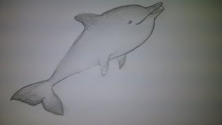 Смотреть онлайн Как легко нарисовать красивого дельфина карандашом