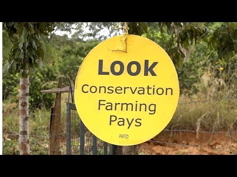 PAFID Kenya farmers practising conservation agriculture — K24 TV