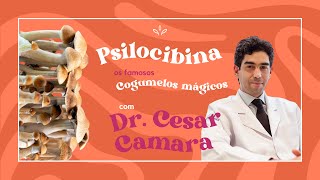 Psilocibina: o que é e benefícios | Dr César Camara - Biocase
