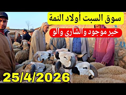 مباشرة من سوق السبت أولاد النمة الخروف والحولي والحولية عيد الأضحى تاريخ 25/4/2026 فرجة ممتعة 🐑🐏