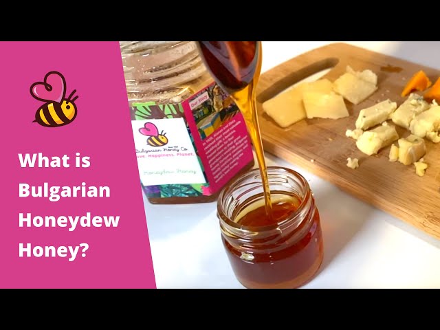 Video Pronunciation of honeydew in English