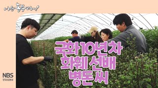 [나는농부다 245회] 국화 10년 차 화훼 선배 병돈 씨