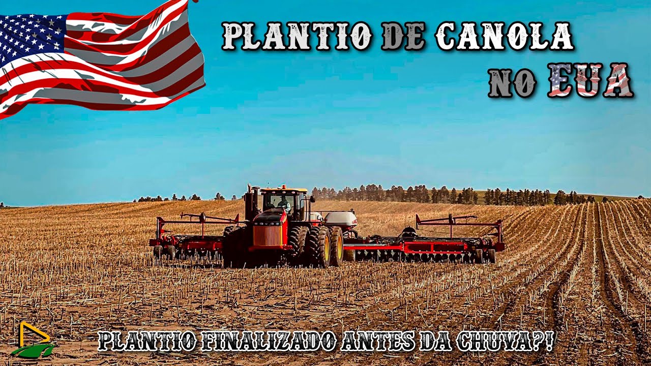PLANTIO DE CANOLA NOS ESTADOS UNIDOS