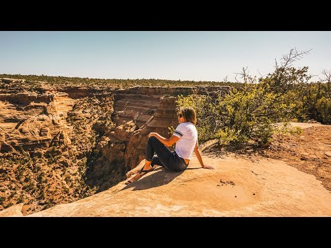 Dish by DUER Women's Jogger [Review]