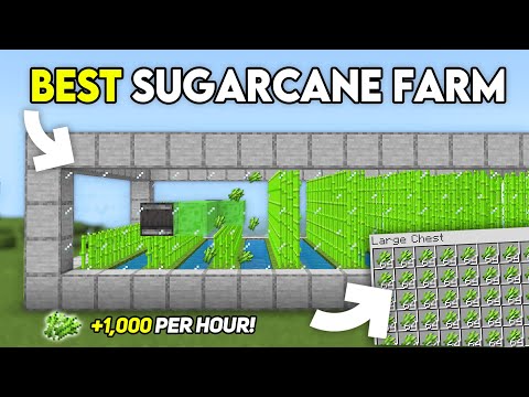 BEST Automatic Sugarcane Farm in 1.21 Minecraft Bedrock !
