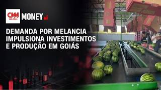 Vídeo: Demanda por melancia impulsiona investimentos e produção em Goiás | CNN AGRO NEWS