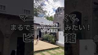 フィリピン🇵🇭マニラ観光におすすめ！【ピント美術館】# #フィリピン観光 #マニラ