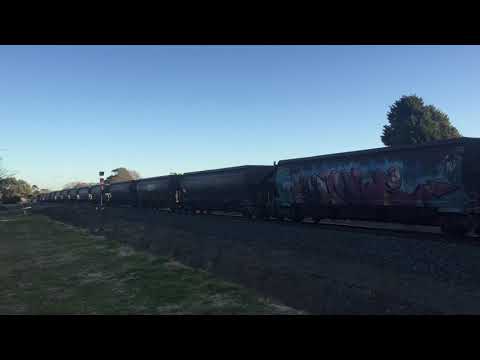 Rare: Pacific National coal train with 2x LDPs on it at Moss Vale NSW