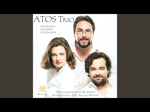 Piano Trio No. 3 in G Minor, Op. 110: IV. Kraftig, mit Humor