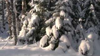 Līgatne Nature Trails, Gauja National Park, GNP, Ligatne, Latvia, 09.01.2010.