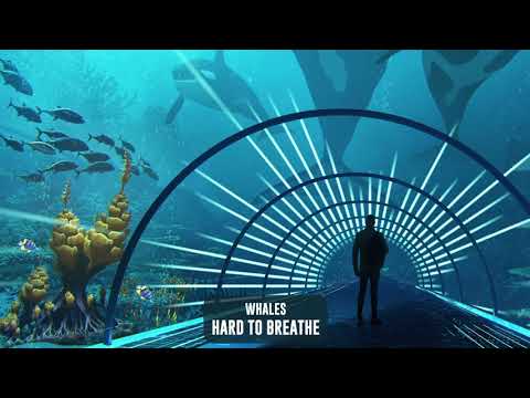 Video thumbnail for Hard To Breathe