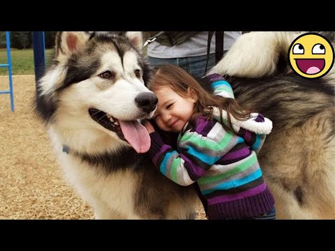 When an Alaskan Malamute Loves a Baby With All Its Heart 🥹🐾 | Cute Priceless Moments