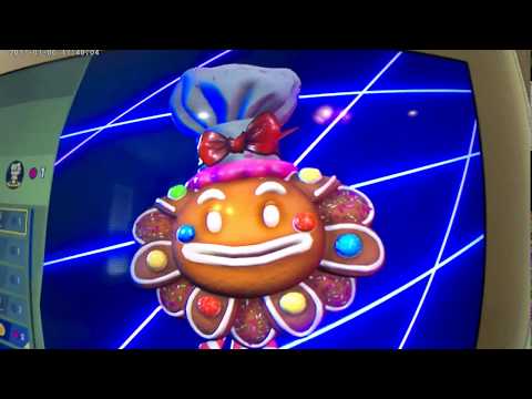 Ginger-sun flower review 2020