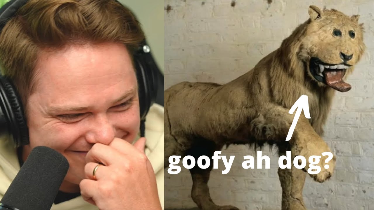 Discord Memes From Walmart