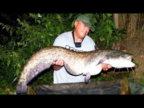Carp fishing VTB 45 - A night on the small river