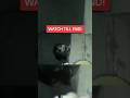 Japanese Ghost Video #horrorstories #ghosts #scary