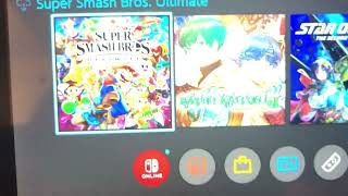 My Nintendo Switch is cooked.