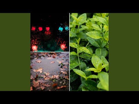 Smooth Jazz Ballad Soundtrack for Dreamy Moments