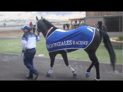 EL QUEMA TIERRAS - OSCAR SOLIS