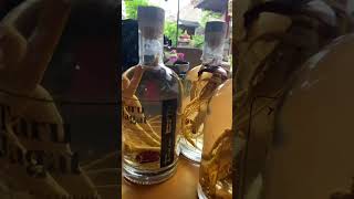 Download lagu Terimakasih sudah memberikan arak ginseng , dari bali , sungguh luar biasa mp3