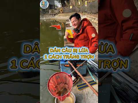 Chúng ta đã bị lừa bởi các bài mồi trên mạng 🤣#shorts #fishing #cauca #caucagiaitri #haihuoc