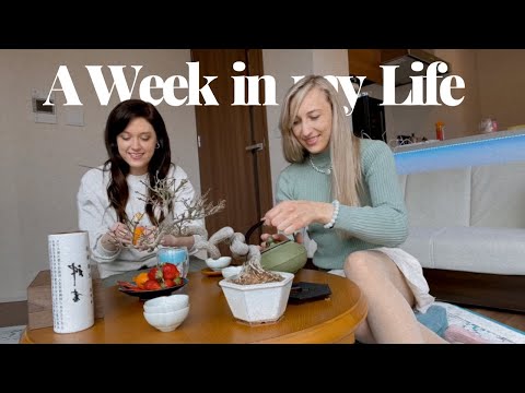 主頁 生活日記 | 與兒時好友敘舊、續簽簽證和賞櫻 🌸 (Home Life Diaries | Catching up w/ Childhood Friends, Renewing my Visa, & Cherry Blossom Viewing 🌸)