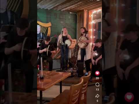 Promotional video thumbnail 1 for A Fiddle in the Forest