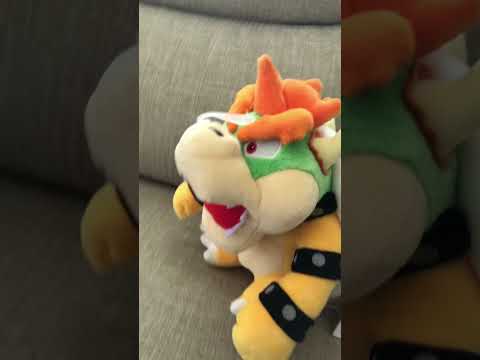 Mario and sonic vs bowser (part 1)