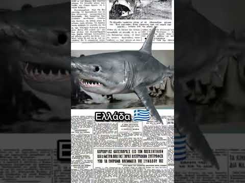 , title : 'ΣΟΚ: ΒΡΗΚΑ ΚΑΡΧΑΡΙΑ😱😱'