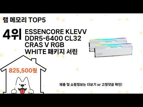 램 메모리 돈 아깝지 않은 가성비 추천 상품 Top5