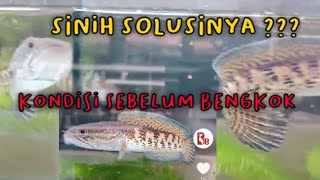 Download lagu channa auranti bengkok! apa penyebab dan bagaimana solusinya??? mp3
