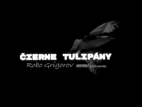 ČIERNE TULIPÁNY 2025 Robo Grigorov