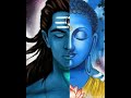 Buddha Is More Powerful Then Siva Sadhguru Shorts