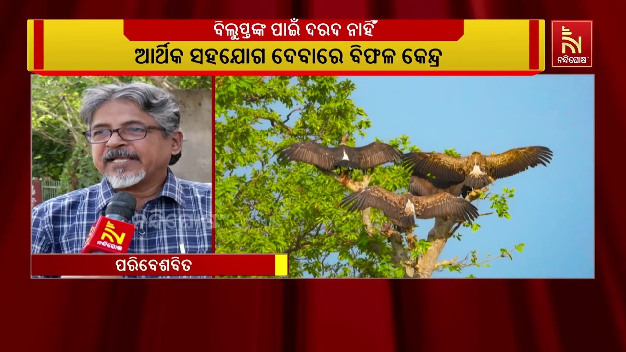 ସଙ୍କଟରେ ନିରୀହ ଜୀବଜନ୍ତୁ । ପ୍ରାଣୀଙ୍କ ସଂରକ୍ଷଣ କିମ୍ବା ପ?