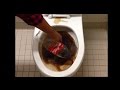 The Effects Of Using Coke To Clean A Dirty Toilet ...