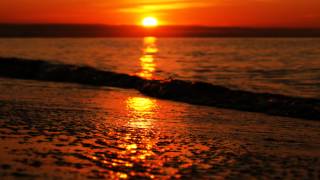 Olvidos - Cómplices