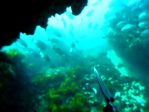 Spearfishing Xbox 360