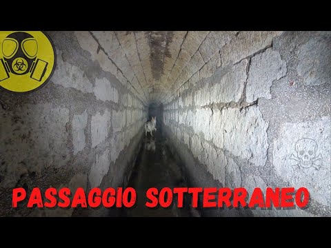 PASSAGGIO SEGRETO: Esplorazione pericolosa..