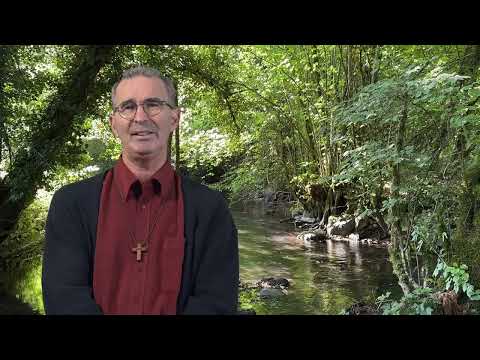 Homélie du 25ème dimanche ordinaire C Luc 16, 1-13