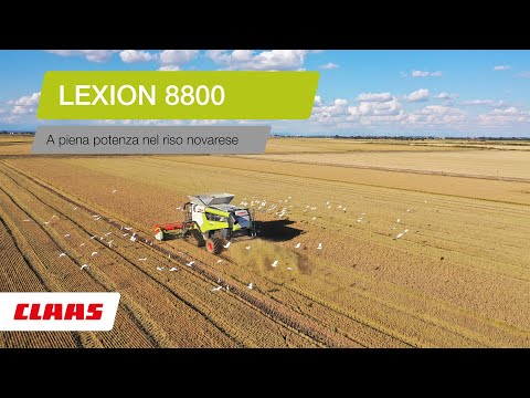CLAAS In Campo 2020- LEXION 8800
