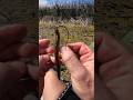 HOW TO RIG A SENKO