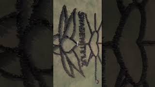 Download lagu SH TERATE JAYA🙏💪 mp3