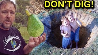 How to Grow &amp; Plant Avocado Trees in Poor Drainage or Clay Soil