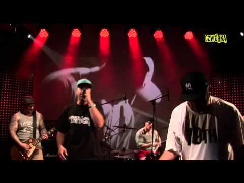 Vienio vs. Way Side Crew - Nowe bloki (na żywo w Czwórce)