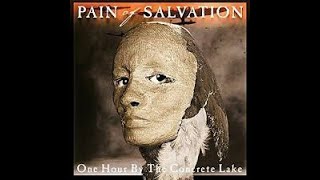 New Year&#39;s Eve - Pain of Salvation (Bass Cover)