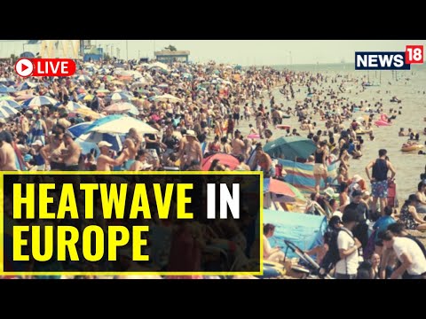 Heatwave UK | Heatwave In Europe | Weather Wreaks Havoc In The United Kingdom | English News LIVE