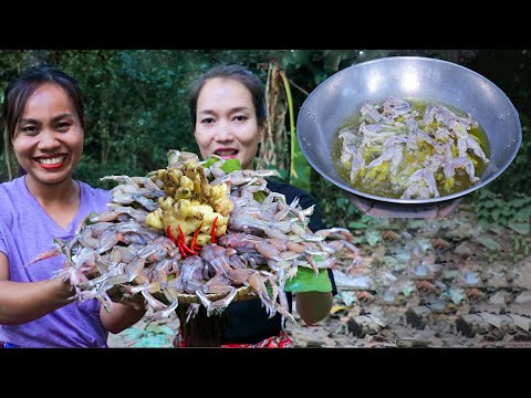 Fried Frog with Ginger recipe/ How to fry Frog with Ginger in my village